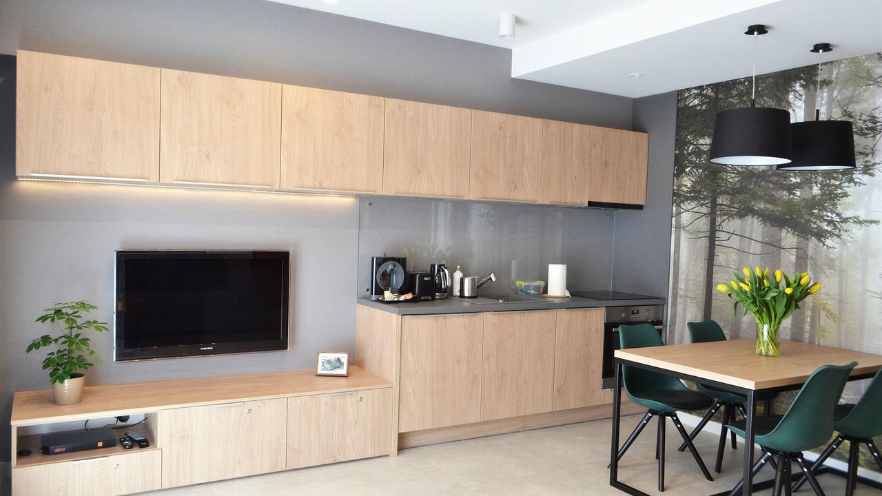Aneks kuchenny w apartamencie Ziemia